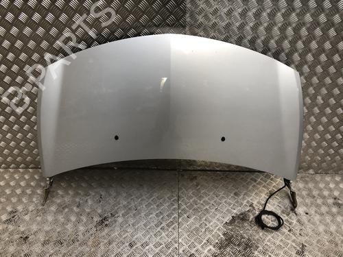 Capot Capot RENAULT CLIO III (BR0/1, CR0/1) 1.5 dCi (C/BR0G, C/BR1G) (68 hp) 39901461 39901461