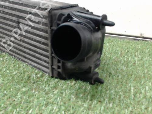 Intercooler CITROËN C5 III Break (RW_) 2.0 HDi | BP24962924M30