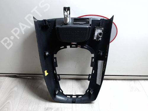 Middle console RENAULT SCÉNIC III (JZ0/1_) 1.6 E85 (JZ03, JZ1Y) | BP29553380I22 