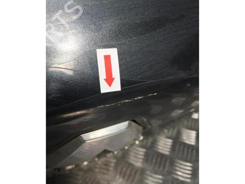 Tailgate RENAULT VEL SATIS (BJ0_) 2.2 dCi (BJ0E, BJ0F, BJ0G, BJ0H) | BP25464054C6 