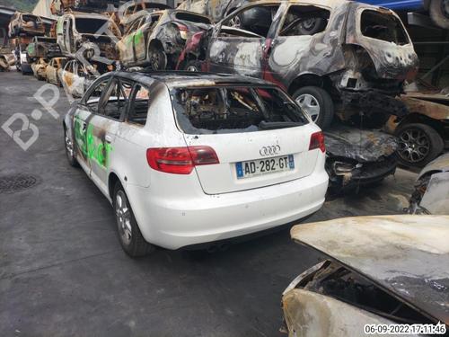 Left rear shock absorber AUDI A3 Sportback (8PA) 2.0 TDI 16V | BP25305131M18