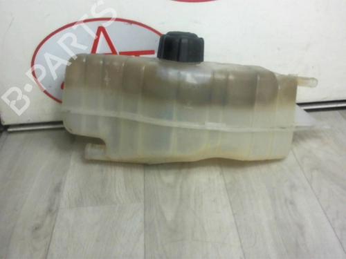 Expansion tank RENAULT CLIO III (BR0/1, CR0/1) 1.2 16V (BR02, BR0J, BR11, CR02, CR0J, CR11) | BP13273810C120 