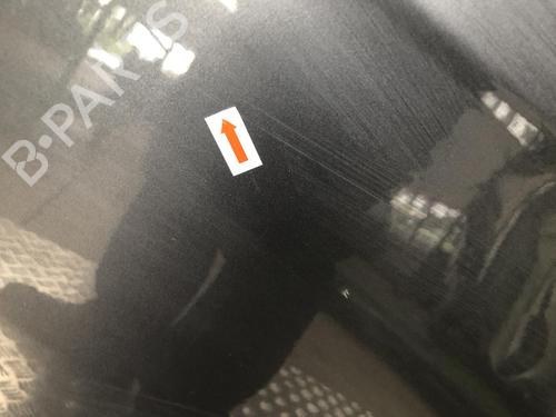 Left rear door CITROËN C3 II (SC_) 1.4 HDi 70 (SC8HZC, SC8HR0, SC8HP4) | BP25204056C4