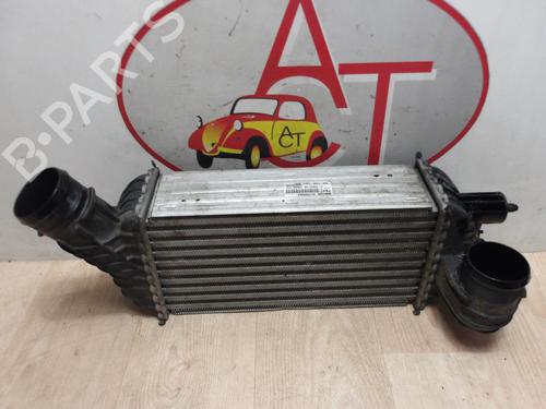Used Intercooler PEUGEOT 3008 I MPV (0U_) 2.0 HDi (163 hp) 31195539