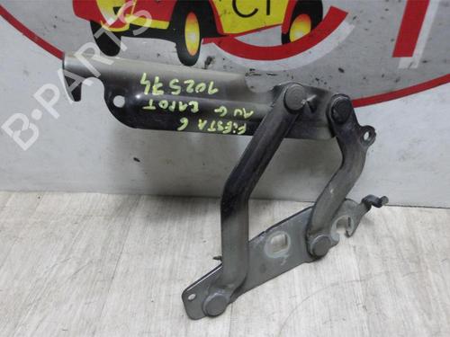 Hinge/Door check strap FORD FIESTA VI (CB1, CCN) 1.4 TDCi | BP13261413C146