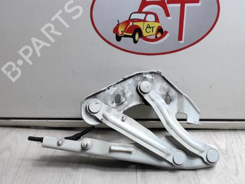 Hinge/Door check strap AUDI A1 (8X1, 8XK) 1.4 TFSI | BP13133806C146
