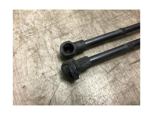 Tailgate lift support SEAT IBIZA III (6L1) 1.4 16V | BP25305562C138 