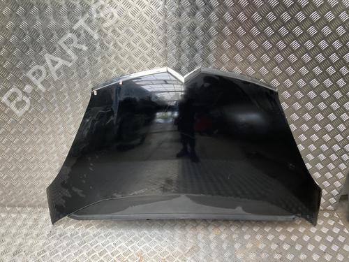 Capot CITROËN C4 Picasso I MPV (UD_) 1.6 HDi (109 hp) 31187187