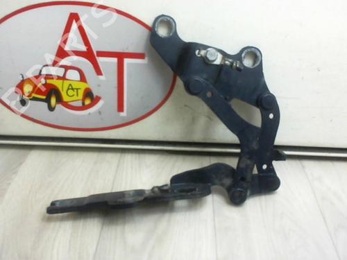 Used Hinge/Door check strap BMW 3 (E90) 320 d (163 hp) 13130588