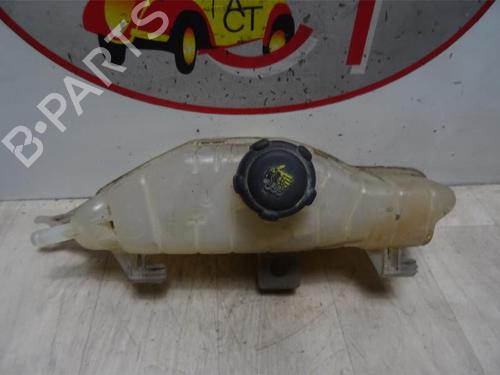 Expansion tank RENAULT CLIO III (BR0/1, CR0/1) 1.5 dCi (C/BR0G, C/BR1G) | BP13273988C120 