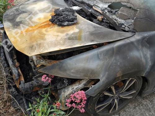 Shock absorber spring HONDA CR-Z (ZF) 1.5 IMA (ZF2) | BP31246439C152