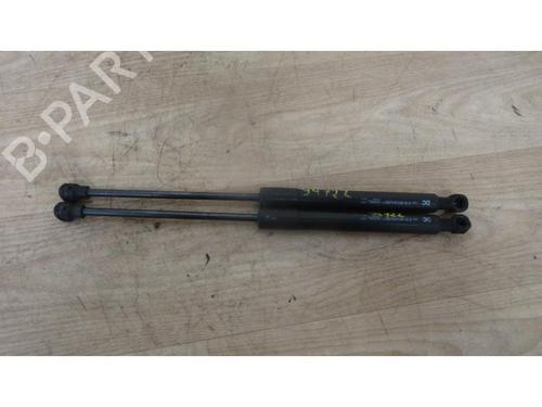 Used Hood lift support RENAULT KANGOO Express (FW0/1_) 1.5 dCi 110 (FW06, FW12) (110 hp) 20625015