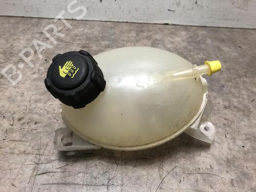 Used Expansion tank DACIA SANDERO II TCe 90 (B8M1, B8MA, B8AC) (90 hp) 20096358