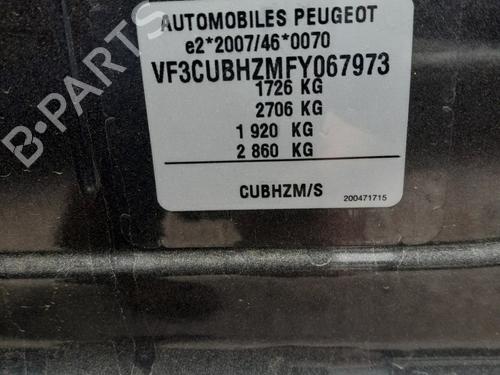 Rear left panel PEUGEOT 2008 I (CU_) 1.6 BlueHDi 120 | BP31056716C60 