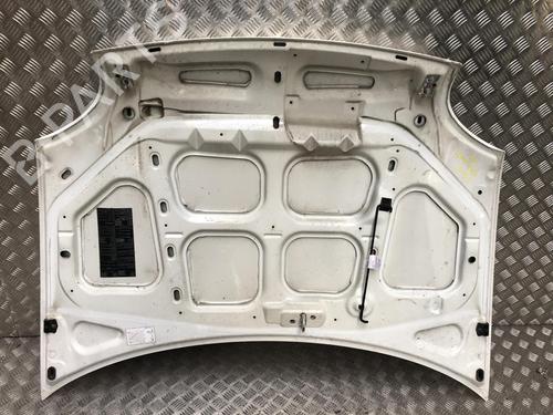 Hood RENAULT KANGOO Express (FC0/1_) 1.2 (FC01, FC0A, FC0F) | BP31244623C1 