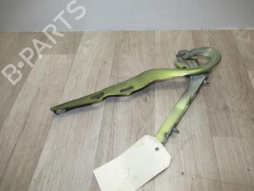 Hinge/Door check strap PEUGEOT 207 (WA_, WC_) 1.6 HDi | BP13264596C146 