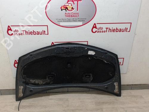 hood-renault-clio-iii-br01-cr01-2005-2006-2007-2008-2009-2010-2011-2012-2013-2014-30781780 main image