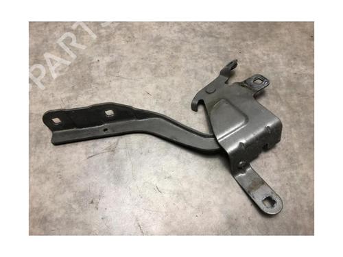 Hinge/Door check strap RENAULT CLIO IV (BH_) 1.5 dCi 75 | BP20620743C146 