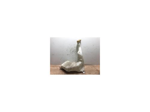 Used Windscreen washer tank RENAULT MASTER II Van (FD) 2.5 dCi 100 (FD0U, FD0V, FD3U, FD3V, FD8U, FD8V) (99 hp) 21094756
