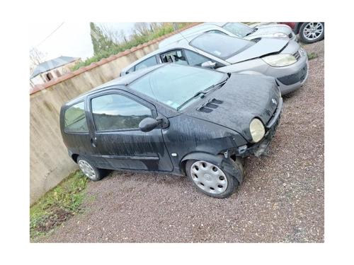 Skiltlys RENAULT TWINGO I (C06_) 1.2 (C066, C068) | BP24495091I40 