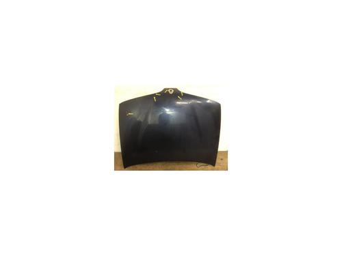 Used Hood RENAULT MEGANE I (BA0/1_) 1.4 e (BA0E, BA0V) (75 hp) 21810605