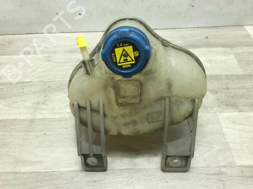 Used Expansion tank FIAT GRANDE PUNTO (199_) 1.3 D Multijet (75 hp) 23186576