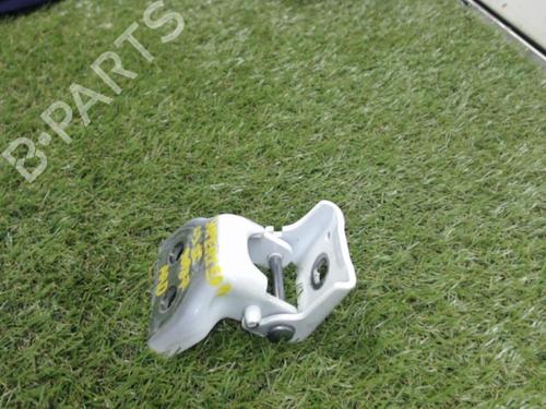 Used Hinge/Door check strap CITROËN C3 II (SC_) 1.6 BlueHDi 75 (75 hp) 13266267