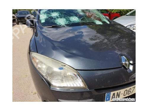 Interior roof handle RENAULT MEGANE III Hatchback (BZ0/1_, B3_) 1.9 dCi (BZ0N, BZ0J) | BP15967992I35 