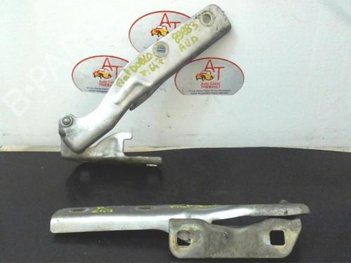 Used Hinge/Door check strap FIAT DOBLO MPV (119_, 223_) 1.9 JTD (105 hp) 25297630