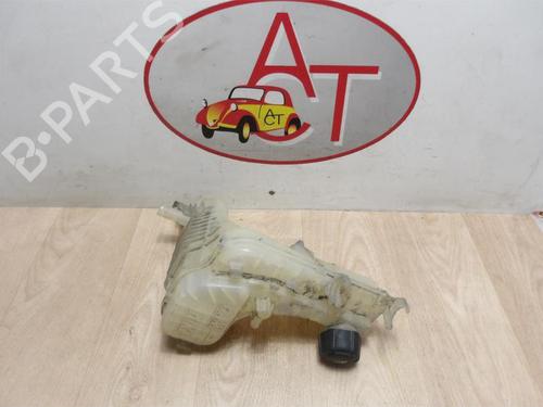 Expansion tank RENAULT LAGUNA III (BT0/1) 1.5 dCi (BT00, BT0A, BT0T, BT1J) | BP13274120C120 