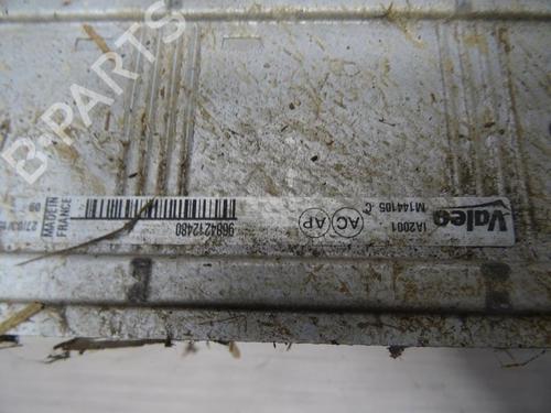 Intercooler PEUGEOT PARTNER Box Body/MPV 1.6 HDi (90 hp) 13271055