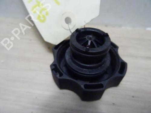 Used Fuel cap FIAT TIPO Hatchback (356_, 357_) 1.4 (356HXF1B) (120 hp) 23068123