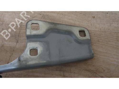 Hinge/Door check strap RENAULT MEGANE III Hatchback (BZ0/1_, B3_) 1.5 dCi (BZ09, BZ0D, BZ1W, BZ29, BZ14) | BP13130557C146 