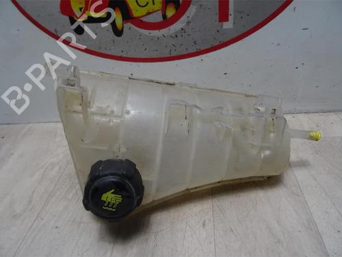 Expansion tank RENAULT KANGOO Express (FW0/1_) 1.5 dCi 75 (FW07, FW10, FW04) | BP13273985C120 