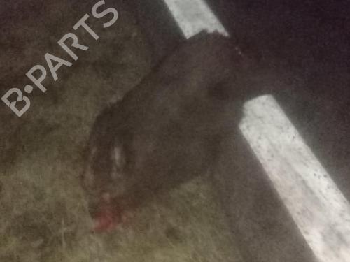 Gearbox FORD C-MAX (DM2) 1.8 TDCi | BP31196604M3