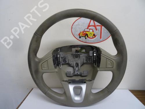 Rat RENAULT SCÉNIC III (JZ0/1_) 1.9 dCi (JZ0J, JZ1J, JZ1K, JZ1S) (131 hp) 13284667
