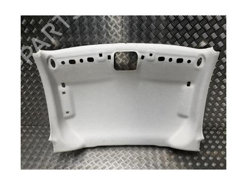 Interior roof FORD TRANSIT COURIER B460 Box Body/MPV 1.5 TDCi | BP25157103I12 
