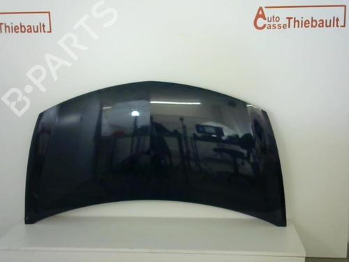 Used Hood RENAULT CLIO III (BR0/1, CR0/1) 1.5 dCi (BR17, CR17) (86 hp) 30780881