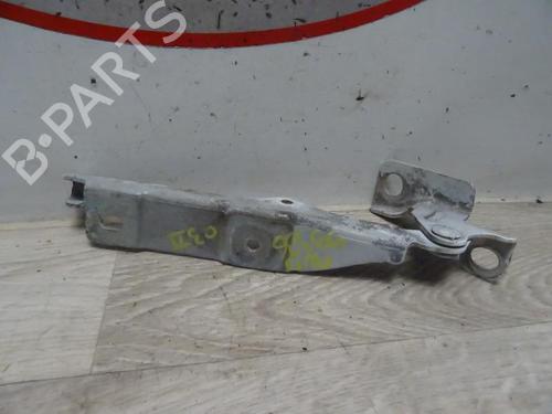 Used Hinge/Door check strap CITROËN C3 II (SC_) 1.4 HDi 70 (SC8HZC, SC8HR0, SC8HP4) (68 hp) 13129704
