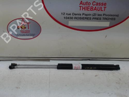 Used Tailgate lift support CITROËN C8 (EA_, EB_) 2.0 HDi (107 hp) 20625033