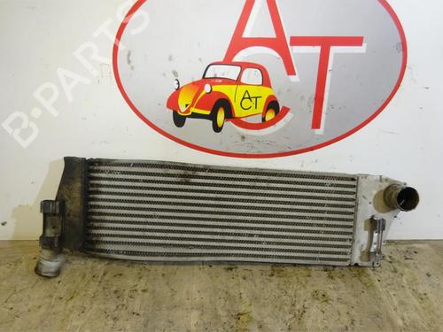 Intercooler RENAULT MEGANE II Saloon (LM0/1_) 1.5 dCi (LM1E) | BP13271043M30 