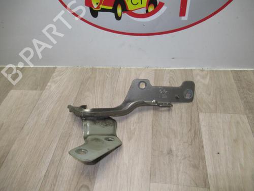 Used Hinge/Door check strap RENAULT CLIO III (BR0/1, CR0/1) 1.5 dCi (BR17, CR17) (86 hp) 13135591