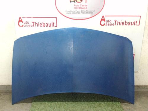 Capot RENAULT MEGANE II (BM0/1_, CM0/1_) 1.5 dCi (BM0F, BM0T, BM2B, CM0F, CM0T) (82 hp) 30781212