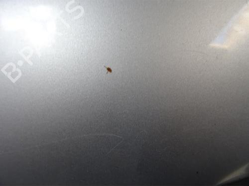 Left rear door MERCEDES-BENZ C-CLASS (W203) C 200 CDI (203.004) | BP13386674C4