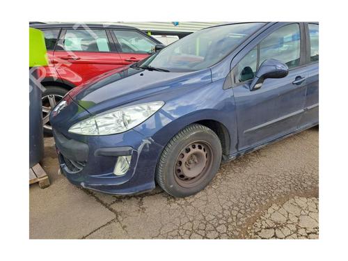 Rubber door seal PEUGEOT 308 I (4A_, 4C_) 1.6 HDi | BP30785555C142