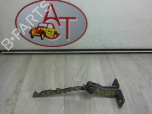 Used Hinge/Door check strap DACIA LOGAN MCV (KS_) 1.5 dCi (KS04) (88 hp) 13128131