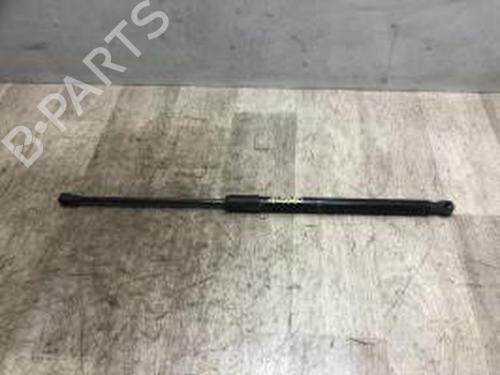 Used Tailgate lift support RENAULT CLIO V (B7_) 1.3 TCe 130 (B7MF) (131 hp) 20634023