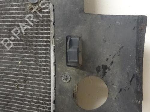 Water radiator MERCEDES-BENZ M-CLASS (W163) ML 270 CDI (163.113) | BP13282401M31 