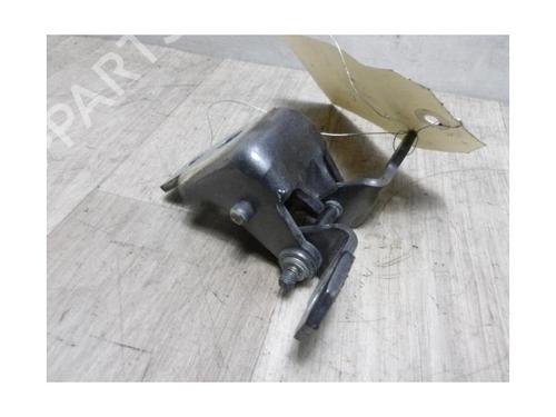 Hinge/Door check strap RENAULT CLIO IV (BH_) 1.5 dCi 75 | BP13137424C146 
