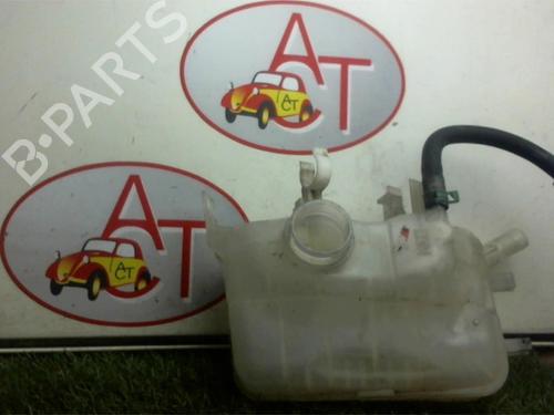 Used Expansion tank RENAULT GRAND SCÉNIC III (JZ0/1_) 1.5 dCi (JZ09, JZ0D, JZ10, JZ14, JZ1G, JZ29, JZ2C) (110 hp) 13273760